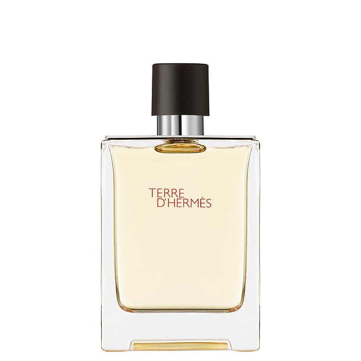 HERMÈS Terre D'Hermès Eau De Toilette 100 ml